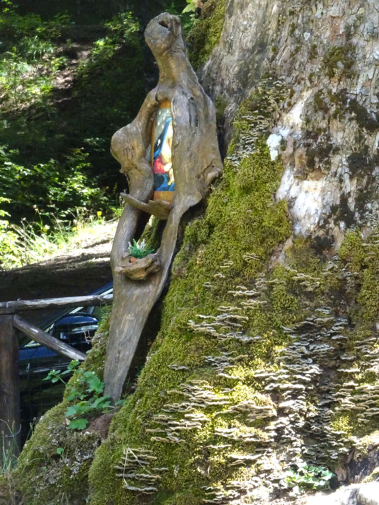 Acero_Lizzano_Santuario (4)